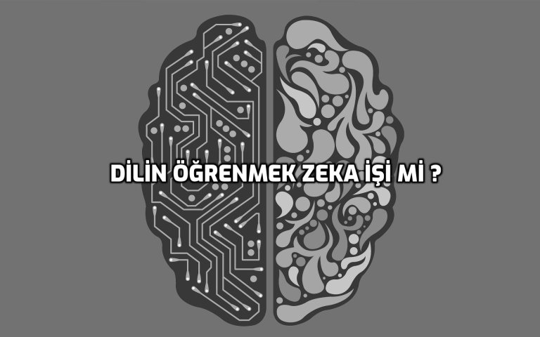 ikinci_bir_dil_sizi_daha_zeki_yapar_m%25C4%25B1.jpg