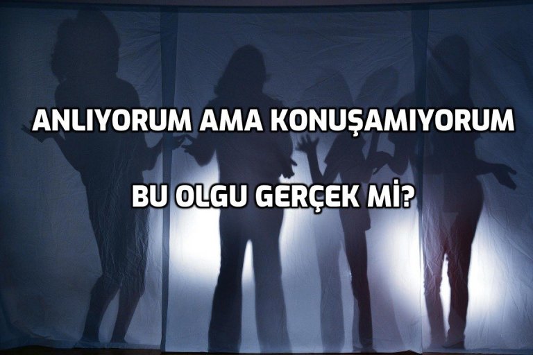 ingilizceyi_anliyorum_ama_konusamiyorum.jpg