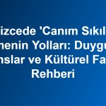 İngilizcede ‘Canım Sıkılıyor’ Demenin Yolları: Duygusal Nüanslar ve Kültürel Farklar Rehberi