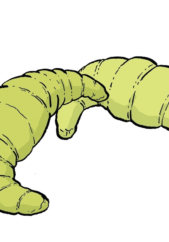 croissant