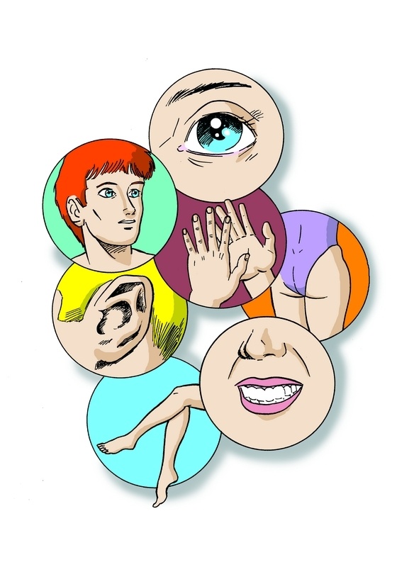 body parts