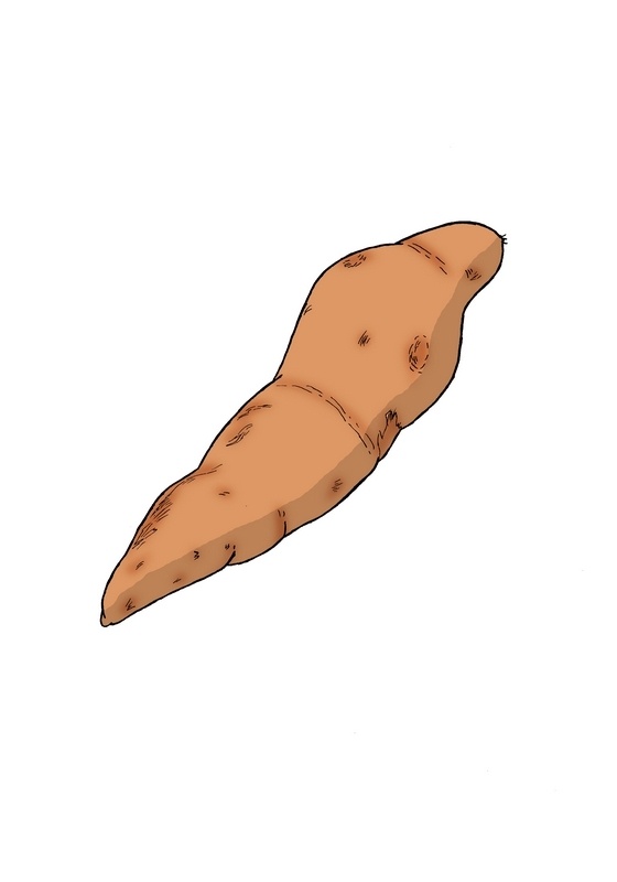 sweet potato