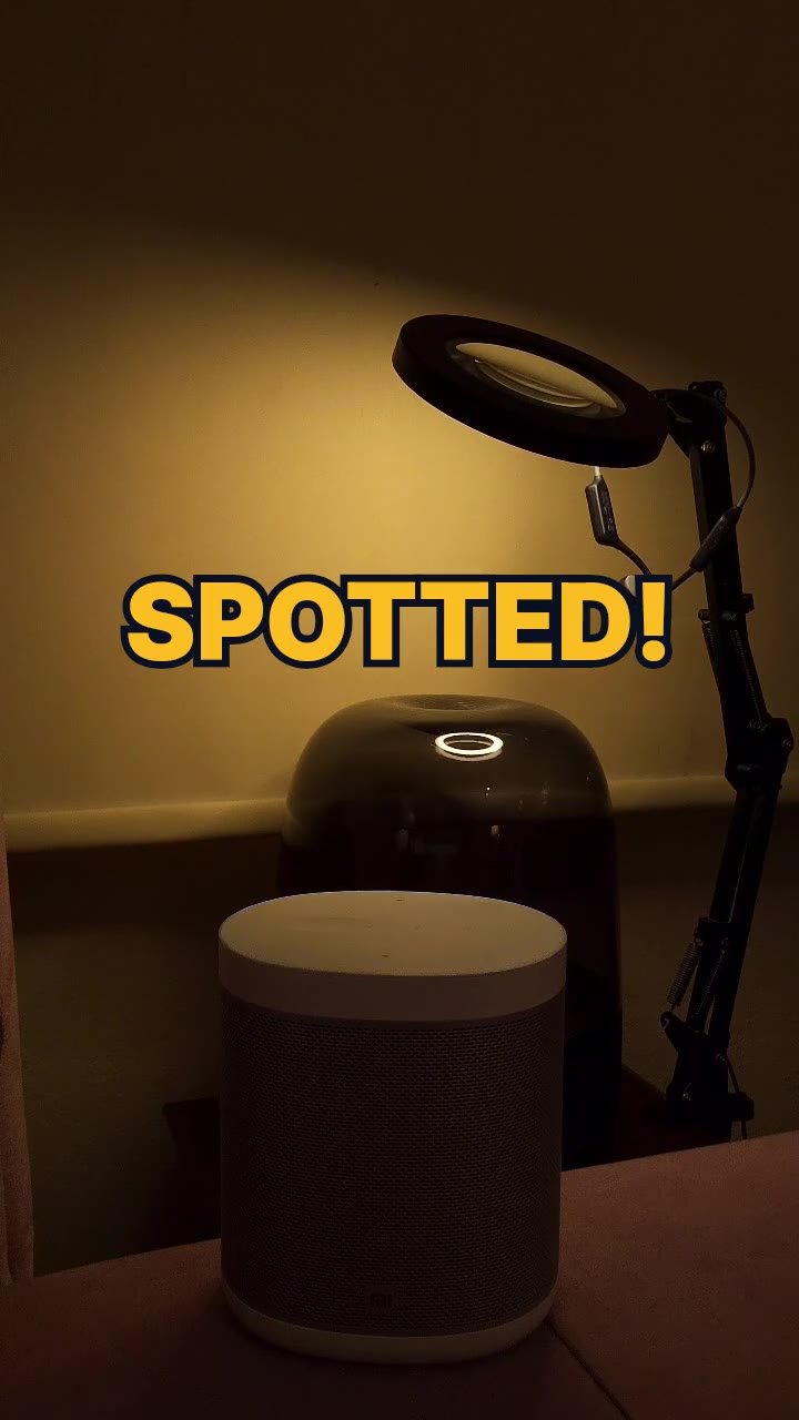 Google'a Fıkra Sordum: "Spotted" Ne Demek? (İngilizce Kelime Oyunu)